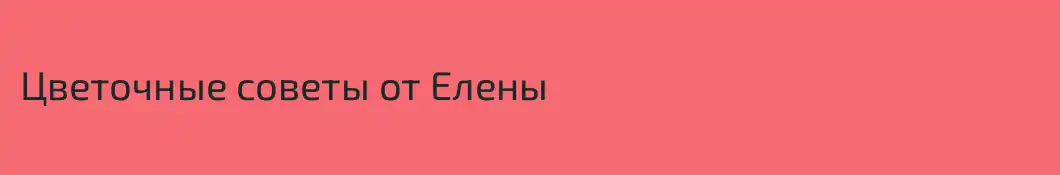 Цветочные советы от Елены